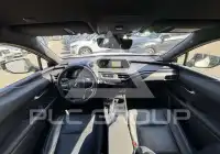 2020 Lexus UX250