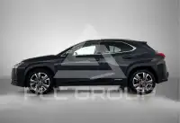 2020 Lexus UX250