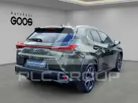 2020 Lexus UX250