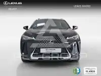 2020 Lexus UX250