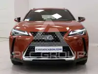 2020 Lexus UX250