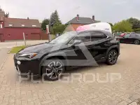 2020 Lexus UX250
