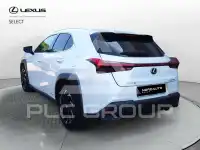 2020 Lexus UX250