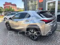 2020 Lexus UX200