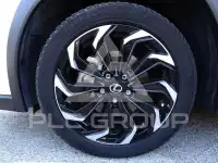 2020 Lexus UX250