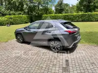 2020 Lexus UX200