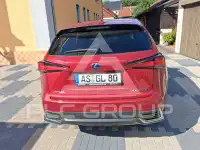 2020 Lexus NX300