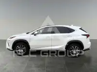 2020 Lexus NX300