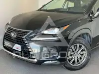 2020 Lexus NX300