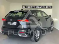 2020 Lexus NX300