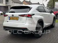 2020 Lexus NX300