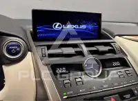 2020 Lexus NX300