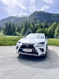 2020 Lexus NX300