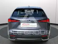 2020 Lexus NX300