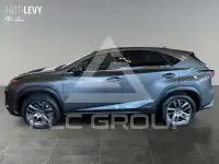 2020 Lexus NX300