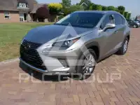 2020 Lexus NX300
