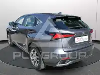 2020 Lexus NX300