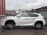 2020 Lexus NX300