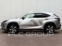 2020 Lexus NX300