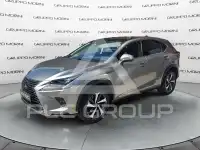 2020 Lexus NX300