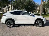 2020 Lexus NX300