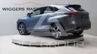 2020 Lexus NX300