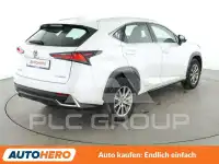 2020 Lexus NX300