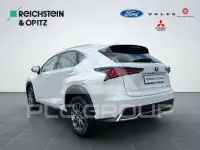 2020 Lexus NX300