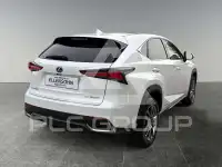 2020 Lexus NX300