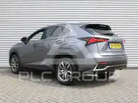 2020 Lexus NX300