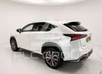 2020 Lexus NX300