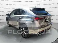 2020 Lexus NX300