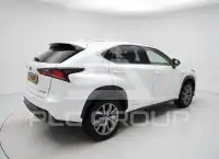 2020 Lexus NX300