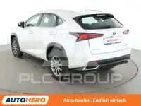 2020 Lexus NX300