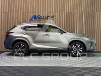 2020 Lexus NX300