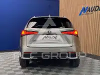 2020 Lexus NX300