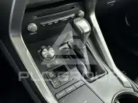 2020 Lexus NX300