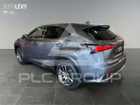 2020 Lexus NX300