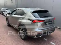 2020 Lexus NX300