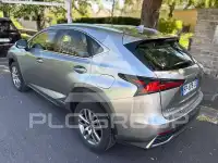 2020 Lexus NX300