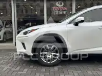 2020 Lexus NX300