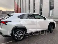 2020 Lexus NX300