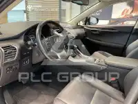 2020 Lexus NX300