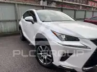 2020 Lexus NX300