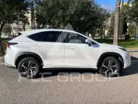 2020 Lexus NX300