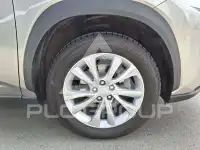 2020 Lexus NX300