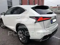 2020 Lexus NX300