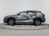 2020 Lexus NX300