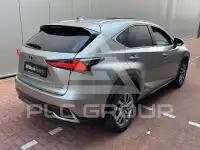 2020 Lexus NX300