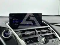 2020 Lexus NX300